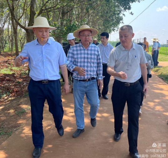 海口市自然资源和规划局局长吴雄带队调研龙湾片区土地整治项目(图3)