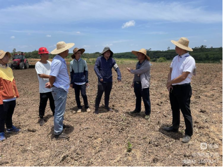 yl6809永利皇宫积极协调，主动担当，高效推进海口市琼山区三门坡镇中埇村土地整治项目清杂工作(图2)