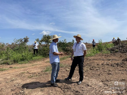 yl6809永利皇宫积极协调，主动担当，高效推进海口市琼山区三门坡镇中埇村土地整治项目清杂工作(图3)