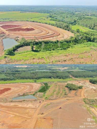 yl6809永利皇宫积极协调，主动担当，高效推进海口市琼山区三门坡镇中埇村土地整治项目清杂工作(图11)