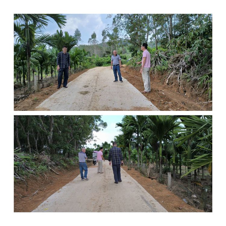 yl6809永利皇宫党委书记王蜂带队调研督导乡村振兴工作(图4)