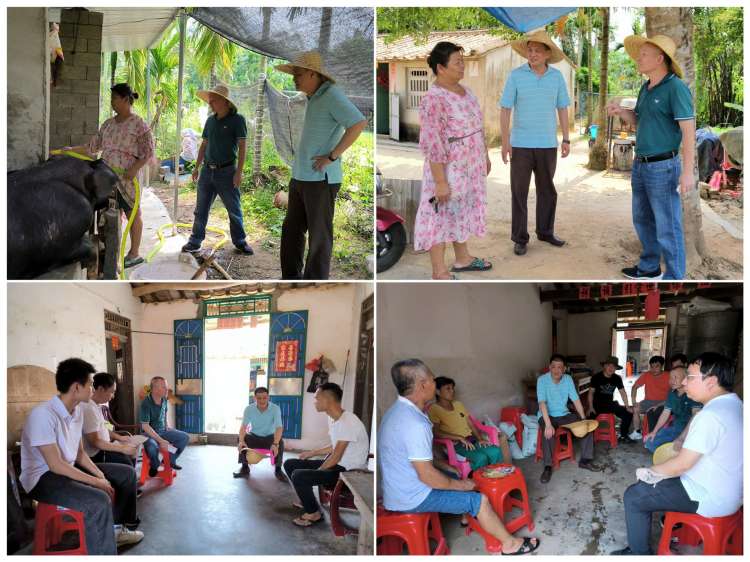 yl6809永利皇宫赴青云村委会调研巩固脱贫攻坚成果与乡村振兴有效衔接工作(图2)