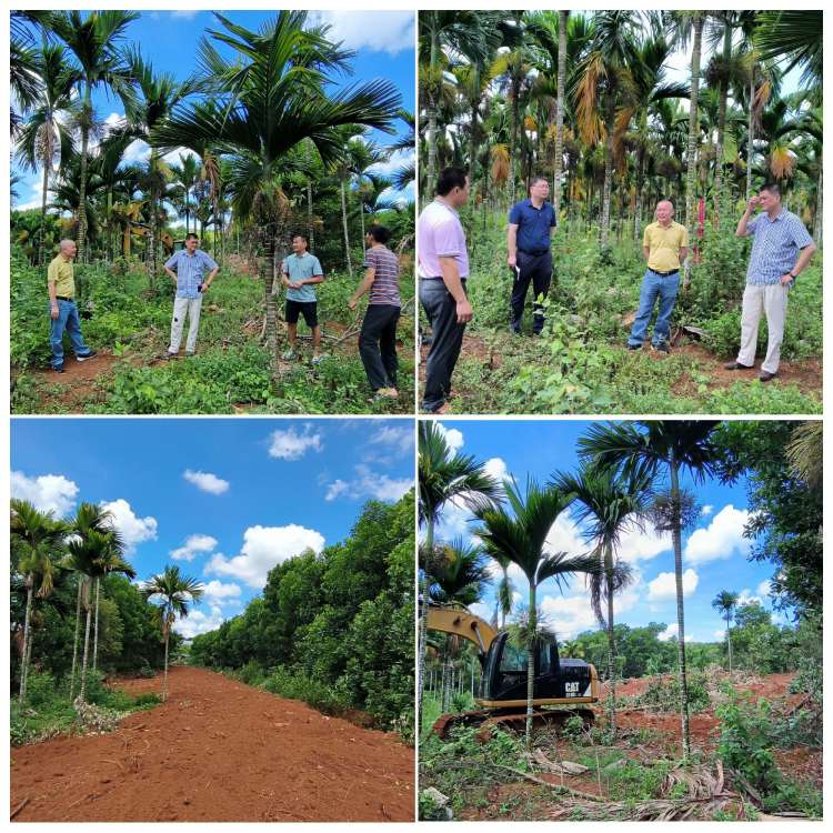 yl6809永利皇宫深入结对帮扶村召开帮扶产业发展专题会(图4)